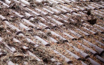 Farway Marsh roof cleaning companies