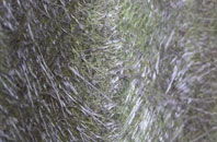 Farway Marsh fibreglass roof work